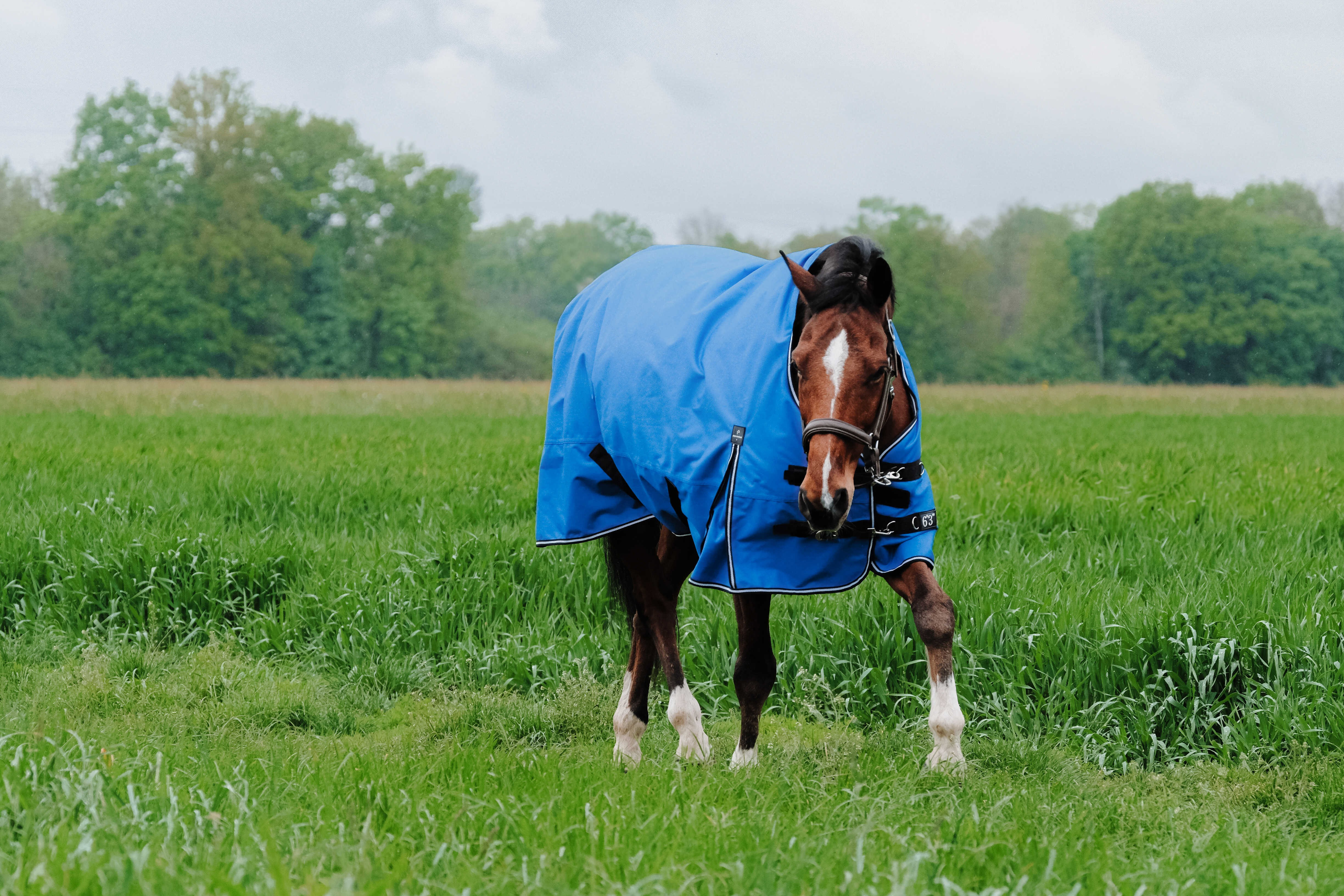 Couverture Equithème Tyrex Aisance 1200D High Neck Bleu roi