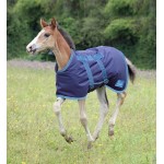 Couverture pour foal Tempest Shires