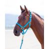 Licol nylon Topaz Shires - Bleu