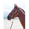 Topaz nylon halster Shires - Zwart