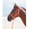 Topaz nylon halster Shires - Oranje