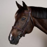 Dy'on New English hoofdstel met gevlochten neusriem zonder keelriem - Bruin