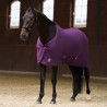 Fleece deken Imperial Riding Fundamental - Vijg