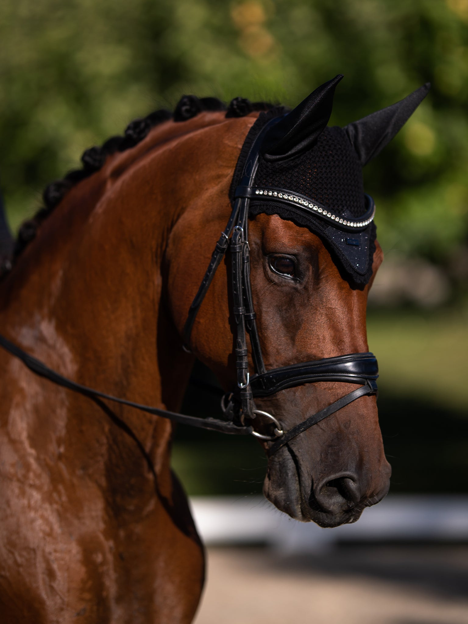 Bonnet anti-mouches Equestrian Stockholm Tout noir scintillant