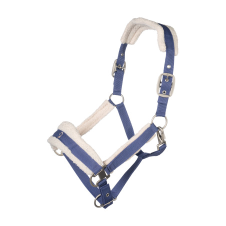 Licol Arezzo Lauria Garrelli