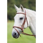 Bridon muserolle croisée Raised Flash Avignon Shires