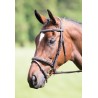 Bridon muserolle croisée Raised Flash Avignon Shires - Havane