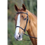 Frans hoofdstel neusriem Aviemore Shires