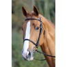 Bridon muserolle française Aviemore Shires - Havane
