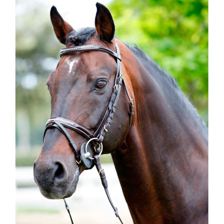 Tattini hoofdstel met strass