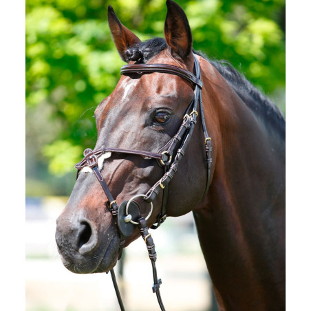 Tattini hoofdstel met Mexicaanse neusriem