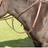 Collier de chasse Avignon Shires - Chêne