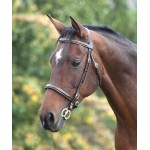 Hoofdstel met sierstiksels Fancy Blenheim Shires