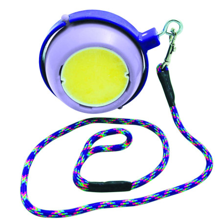 Spel zoutsteen Boredom Buster Likit