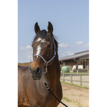 Halster Norton Nylon Soft