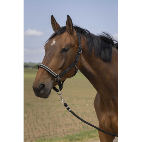 Halster Equithème Nylon Chevron