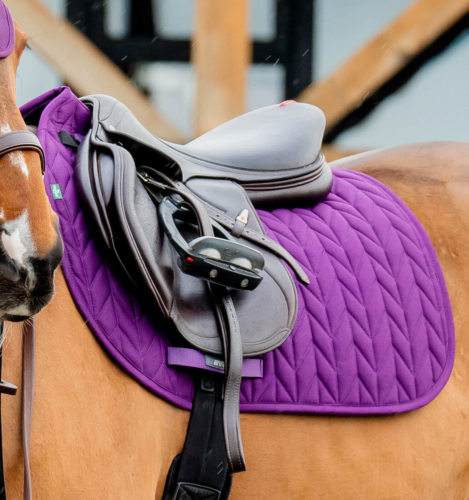 Tapis de selle Close Contact Amigo Horseware Winterberry Violet