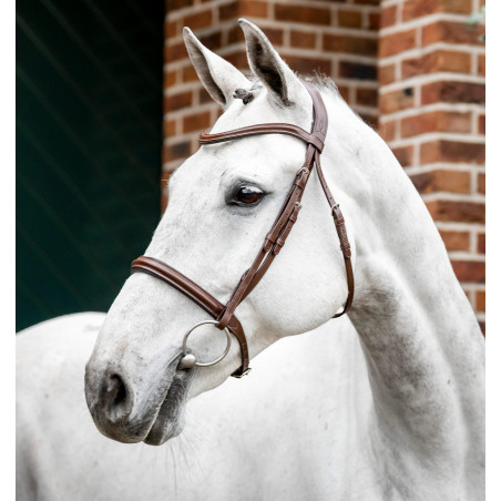 Bridon Horseware Cavesson