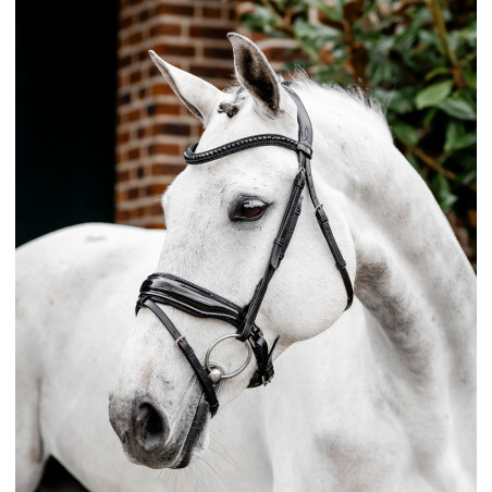 Bridon Horseware Diamante Flash