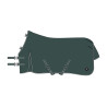 Couverture de paddock Imperial Riding Basic sans couvre-cou 300gr - Vert