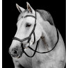 Bridon Horseware Micklem Deluxe Competition - Noir