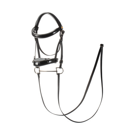 Bridon en cuir brillante pour hobby horse Equestro