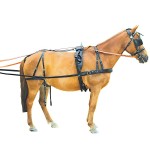 Continentale Chetak-tuig