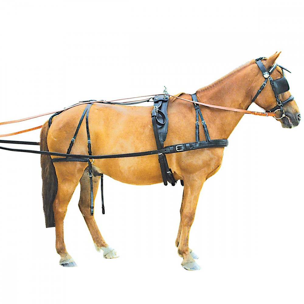 Têtière Pour Poney - Attelage Cheval - Fabriqué En Inde - Occasion