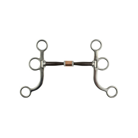 Mors western Pool’s inox tiges cuivre plates