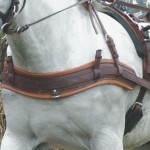 Anatomische Bricole Eric Le Tixerant