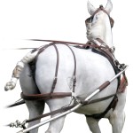 Terugtrekking MARATHON Eric Le Tixerant