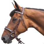 Bridon Vlaggen & Beker Kitsi