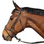 Hoofdstel Flags & Cup Oslo