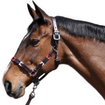 Halster Vlaggen & Beker Chukka