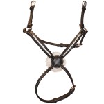 Kruisneusriem Flags & Cup MECHELEN