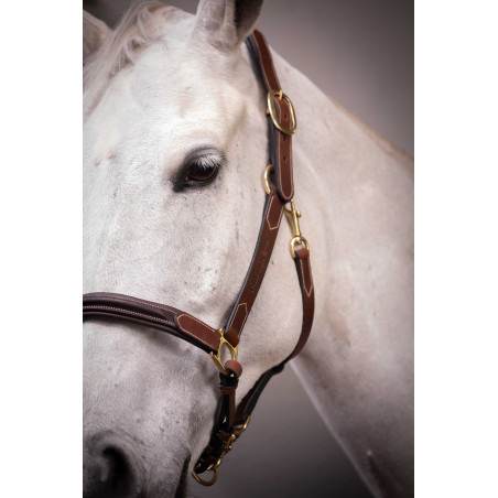 Leren halster met 3 musketons Paddock Sports