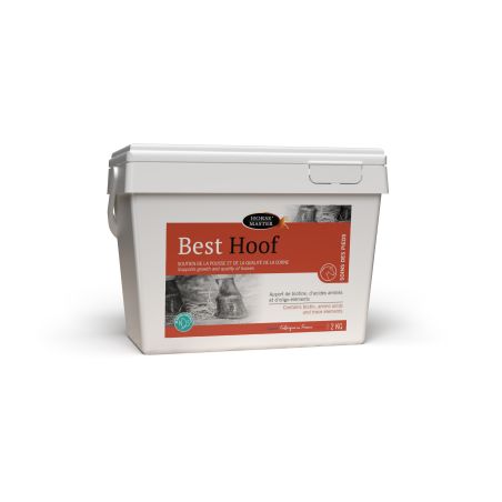 Best Hoof Biotine Horse Master