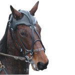 Bride HEADSET Trot zonder panurge Eric Le Tixerant