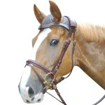 Bridon HOOFDSTEL Eric Le Tixerant