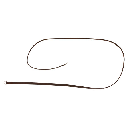 Rênes de gogue cuir Riding World