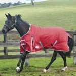 Couverture Weatherbeeta ComFiTec Classic 220g 600D