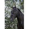 Bridon Riding World Franse neusriem - Zwart
