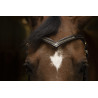 Frontal Excelsior V diamond - Noir