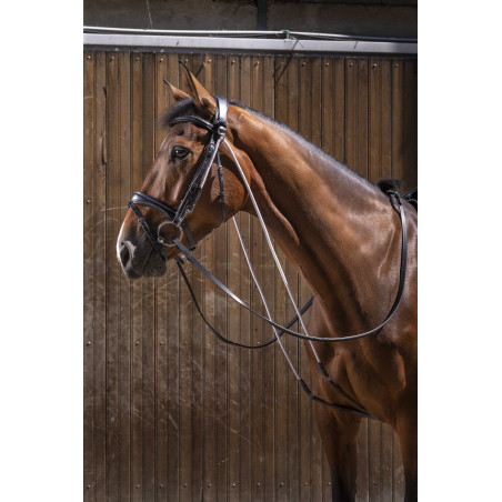 Chambon Eric Thomas Pro