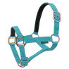 Licol nylon doublé cuir Norton - Turquoise