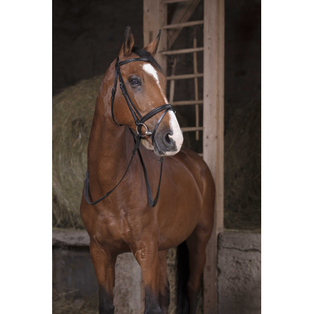 Rênes caoutchouc Norton Pro