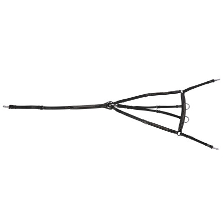 Collier de chasse Norton Pro