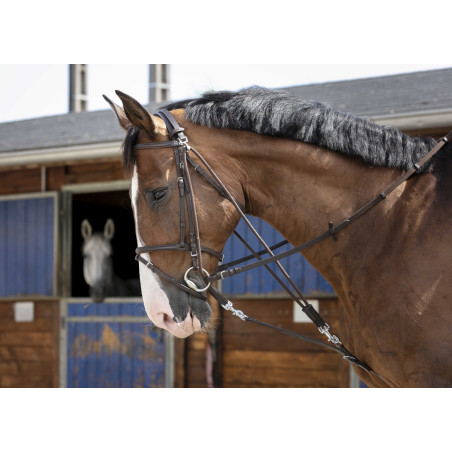 Katrolblok Riding World