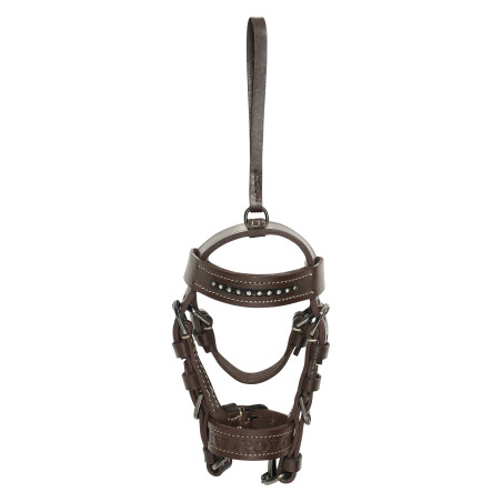 Bridon charms HV Polo Legacy