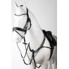 Borsttuig met borstriem Horze Hampstead - Zwart